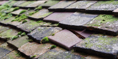 Waldridge roof repair costs